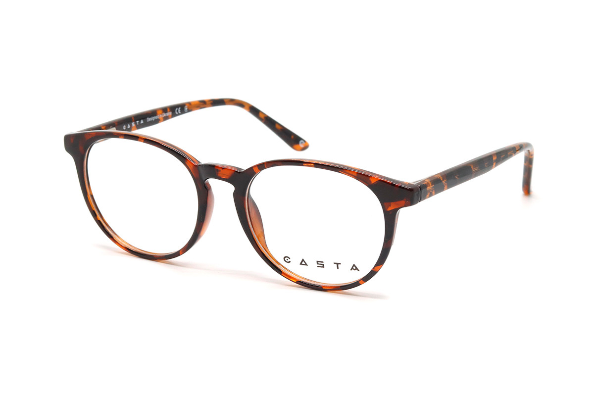 Оправы CASTA CST 6009 LU DEMI Фото №1 - linza.ua