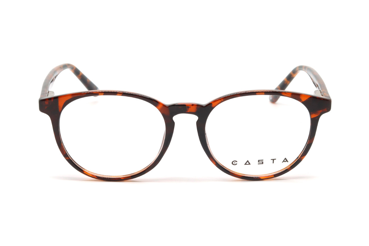 Оправы CASTA CST 6009 LU DEMI Фото №2 - linza.ua