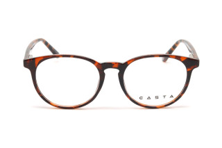 Оправы CASTA CST 6009 LU DEMI Фото №2 - linza.ua