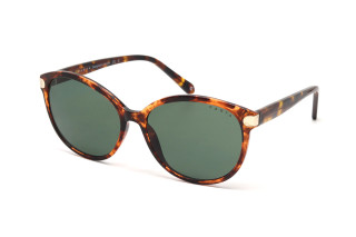 Сонцезахисні окуляри CASTA CS 1104 QW DEMI Фото №1 - linza.ua