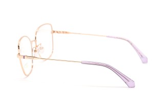 Оправы PLD PLD D521/G DDB5516 Фото №2 Оправы PLD PLD D521/G DDB5516 Фото №2 - linza.ua