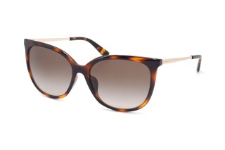Солнцезащитные очки GUESS GU00150-H 52F 59 - linza.ua