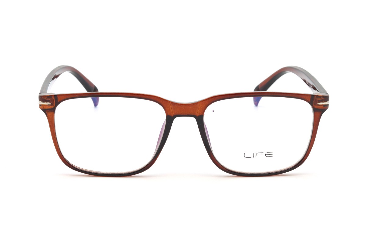 Оправи LIFE LFO 2015 KB BRN Фото №5 - linza.ua
