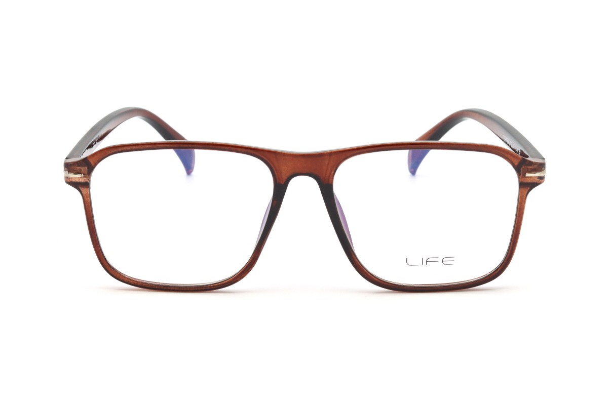 Оправи LIFE LFO 2016 KB BRN Фото №4 - linza.ua