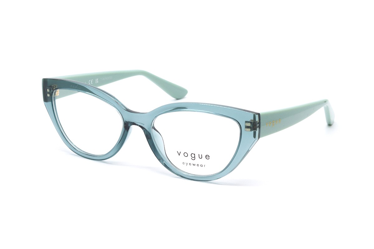 Оправи VY 2031 3117 50 Фото №1 - linza.ua