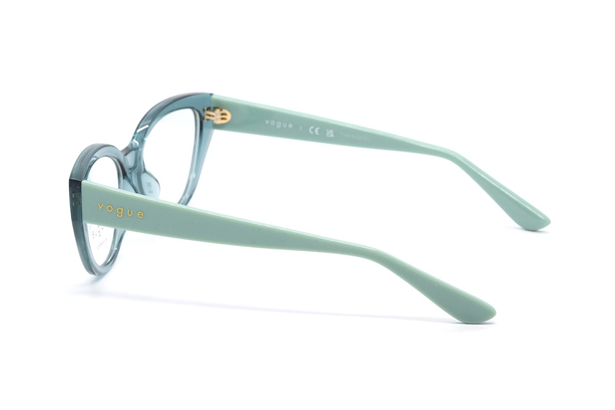 Оправи VY 2031 3117 50 Фото №4 - linza.ua