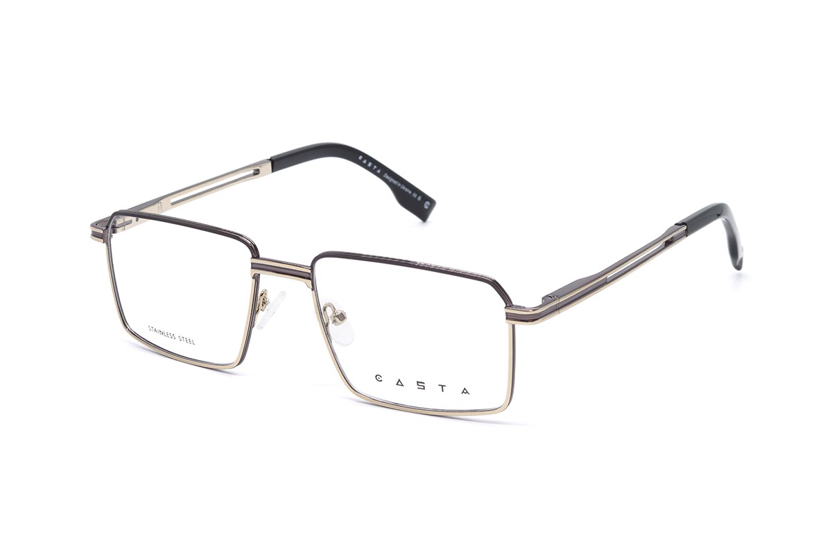 Оправы CASTA CST 2205 KB SILBK Фото №1 - linza.ua