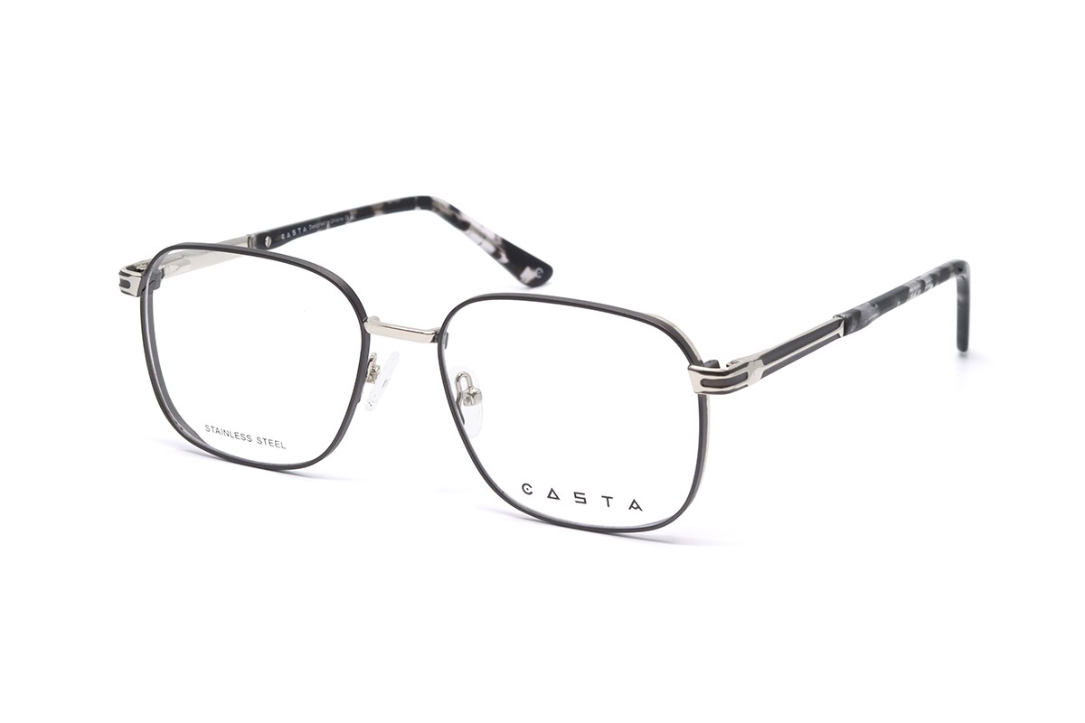 Оправы CASTA CST 3118 KB SILGRY Фото №1 - linza.ua