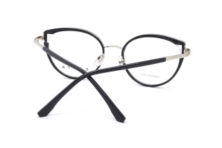 Оправы CASTA CST 1246 KB SILBK Фото №4 - linza.ua