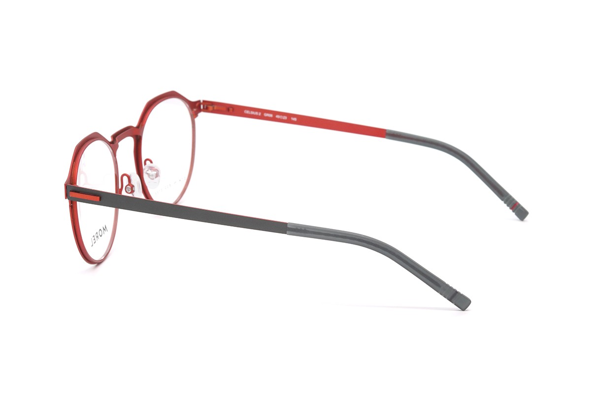 Оправи MARIUS MOREL CELSIUS 2 GR06 Фото №3 - linza.ua