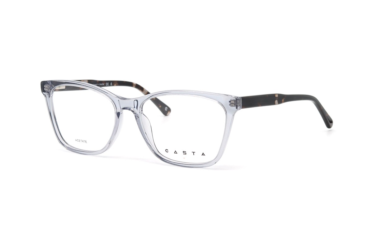 Оправы CASTA CST 1264 IN GRY Фото №1 - linza.ua