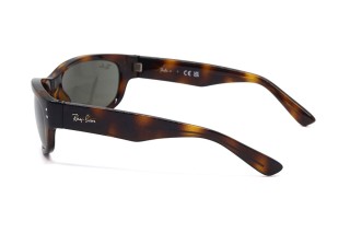 Солнцезащитные очки RJ 9189S 152/3 55 Фото №3 - linza.ua