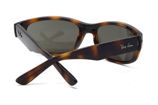 Солнцезащитные очки RJ 9189S 152/3 55 Фото №4 - linza.ua