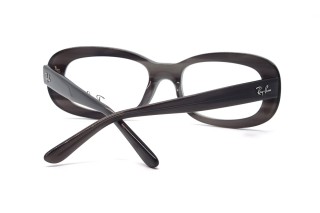 Оправы RX 2221V 8453 53 Фото №2 - linza.ua