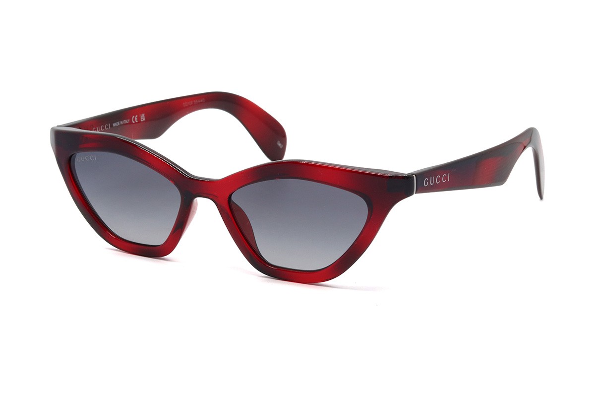 Солнцезащитные очки GUCCI GG1931S-002 52 Фото №1 - linza.ua
