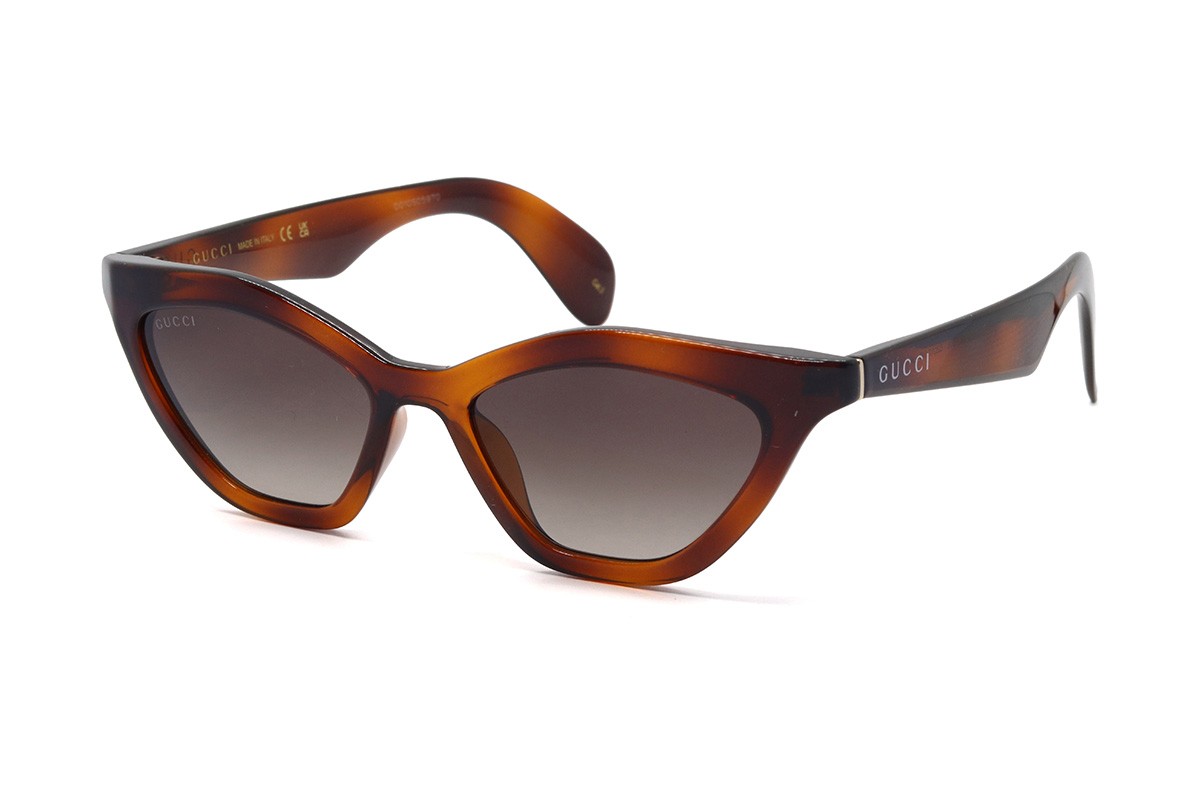 Солнцезащитные очки GUCCI GG1931S-003 52 Фото №1 - linza.ua