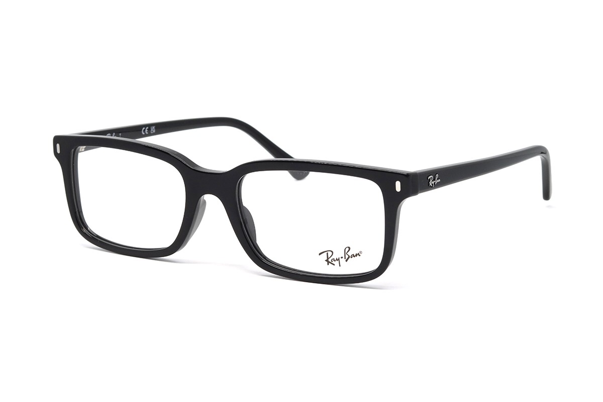 Оправы RX 5445 2000 54 Фото №1 - linza.ua