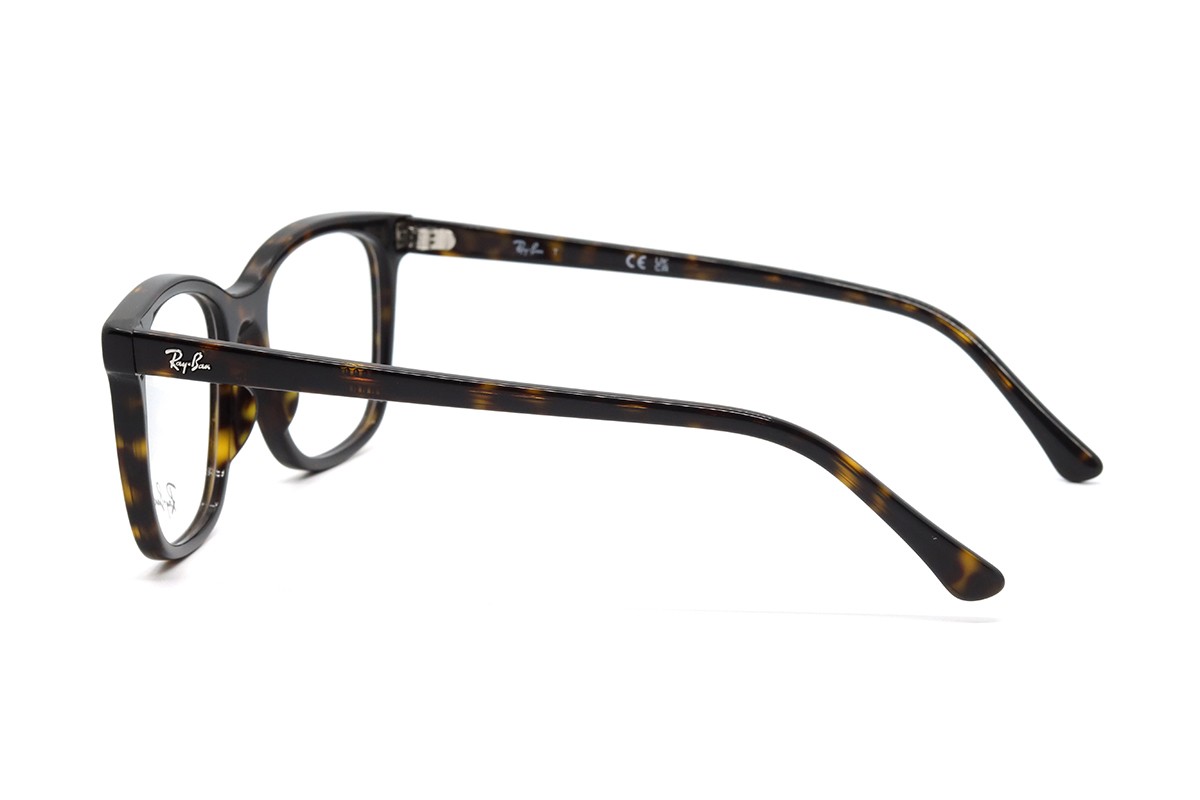 Оправы RX 5446 2012 53 Фото №2 - linza.ua