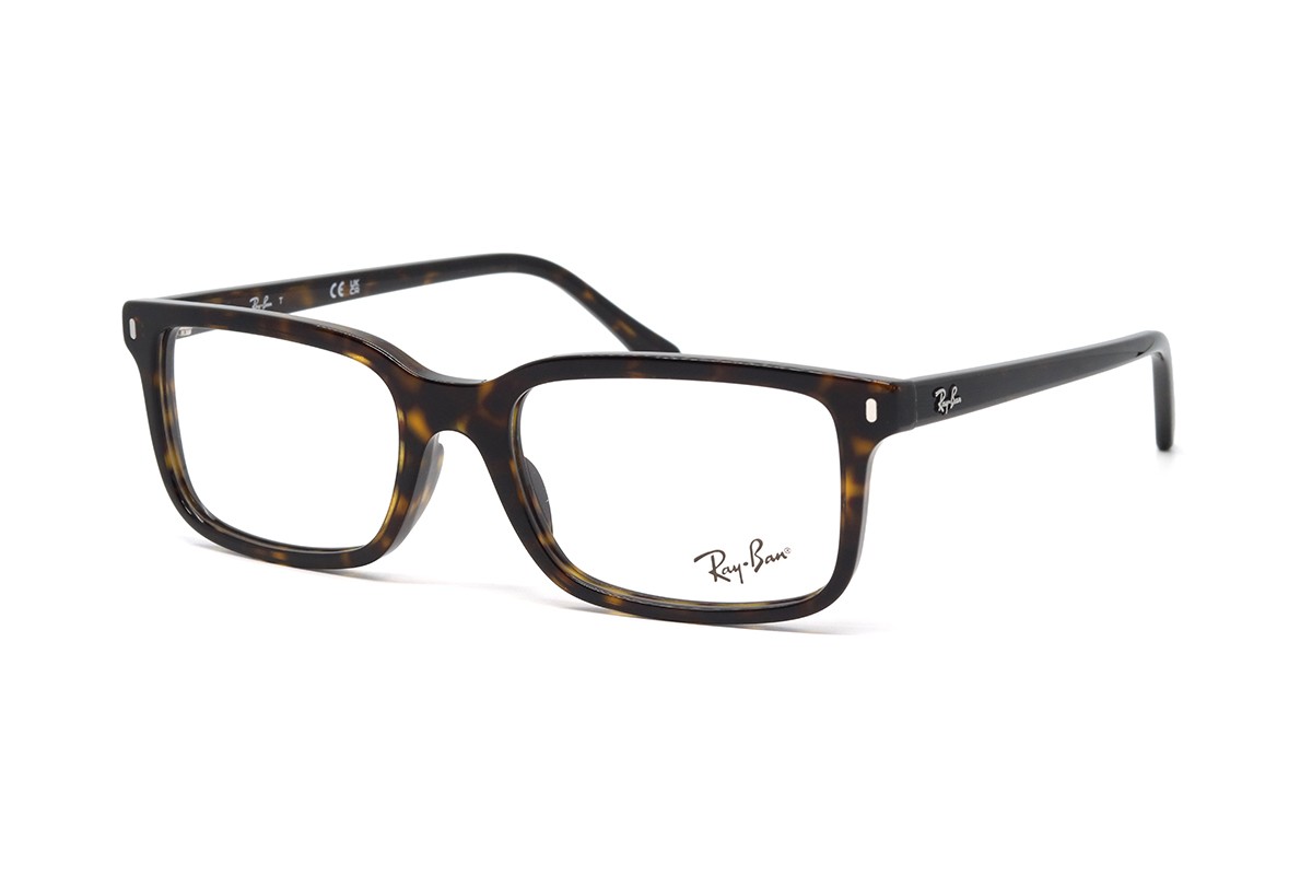 Оправы RX 5445 2012 54 Фото №1 - linza.ua