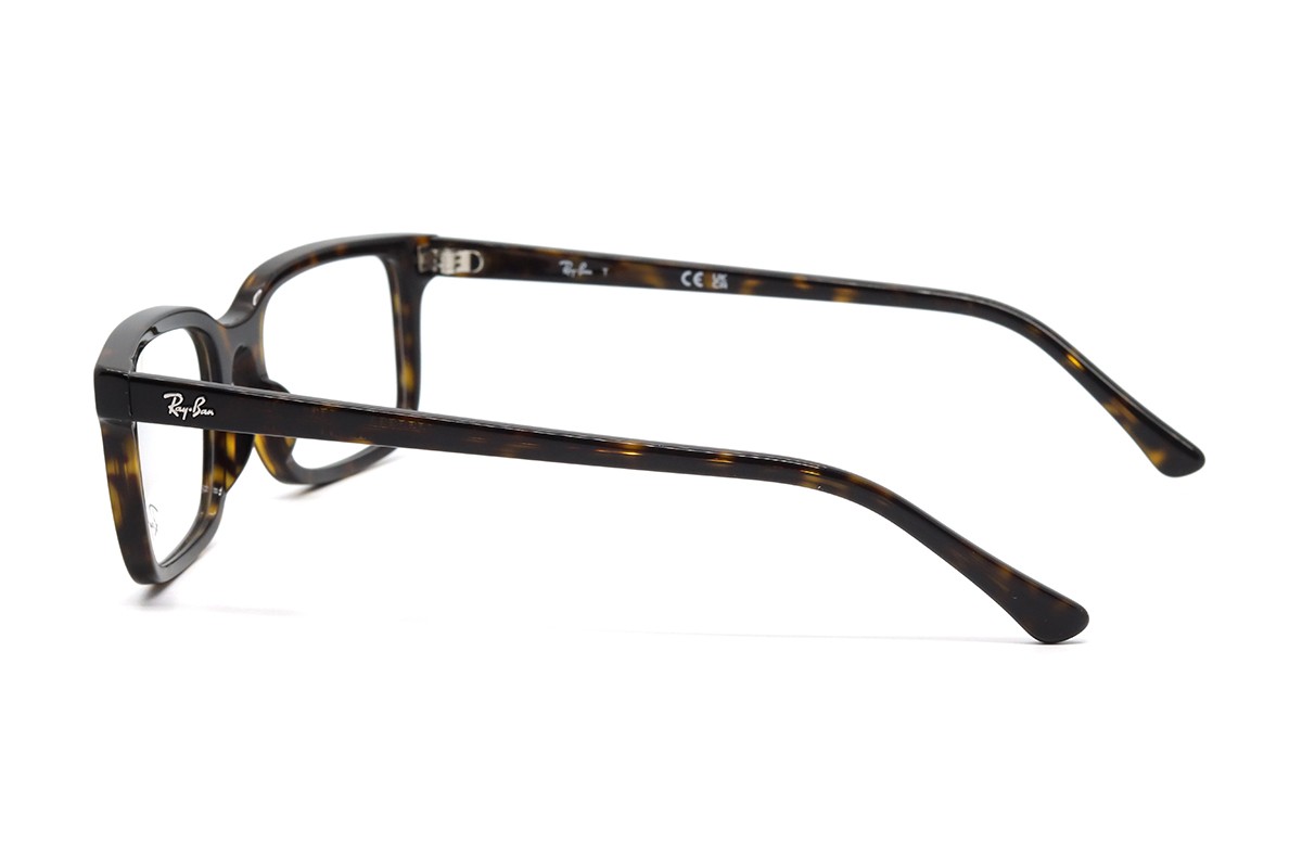 Оправы RX 5445 2012 54 Фото №4 - linza.ua