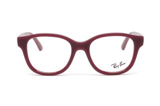 Оправы RY 1950 7207 46 Фото №2 - linza.ua