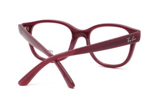 Оправы RY 1950 7207 46 Фото №4 - linza.ua