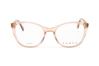 Оправы CASTA CST 1268 IN OR Фото №3 - linza.ua
