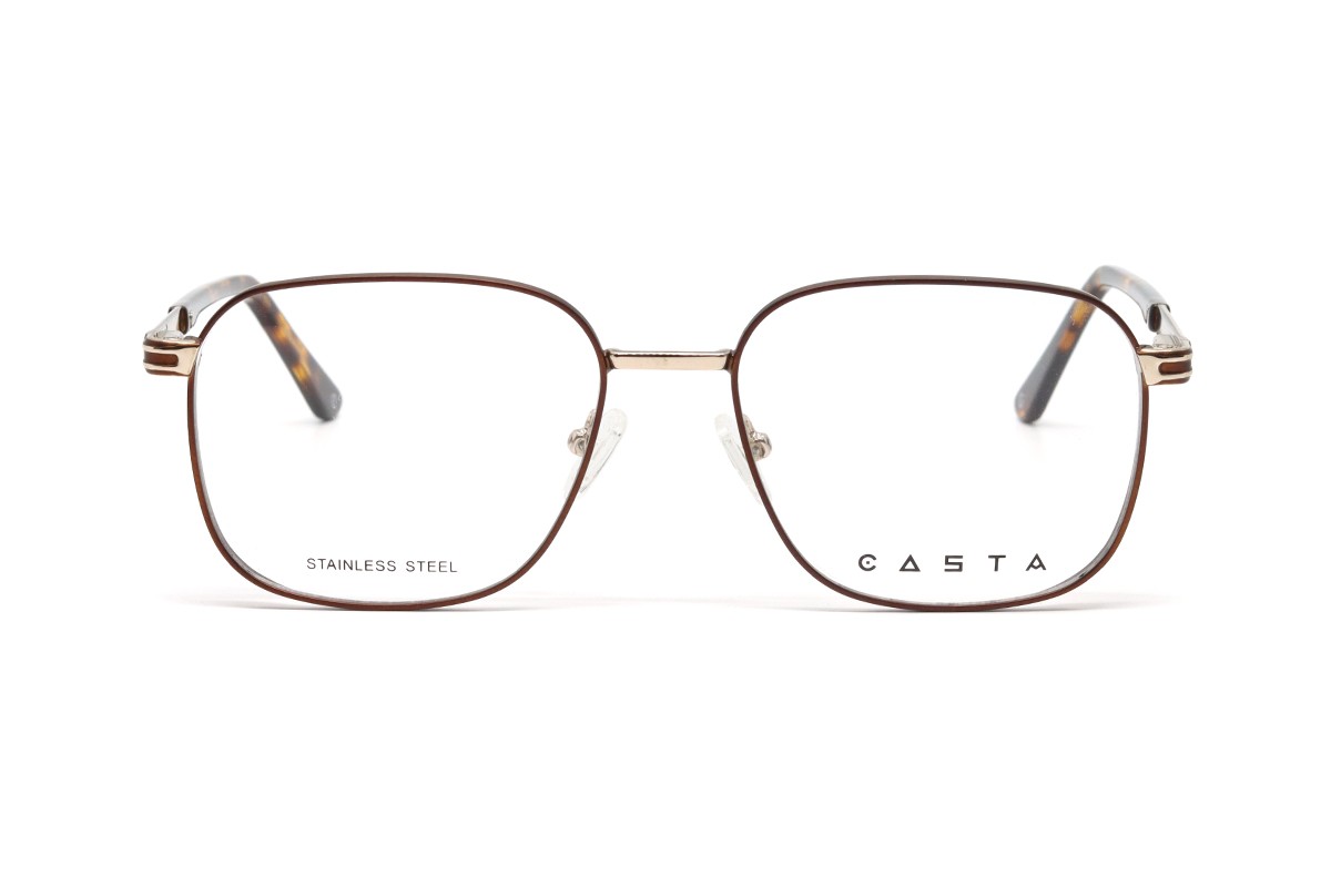 Оправи CASTA CST 3118 KB GLDBRN Фото №2 - linza.ua