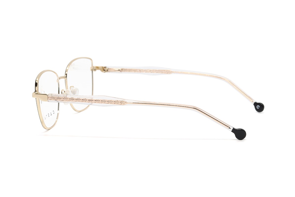 Оправи CASTA CST 1263 IN GLDBK Фото №2 - linza.ua