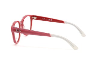 Оправы RY 1950 7204 46 Фото №2 - linza.ua