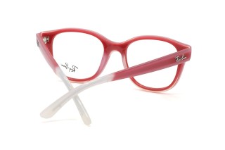 Оправы RY 1950 7204 46 Фото №5 - linza.ua