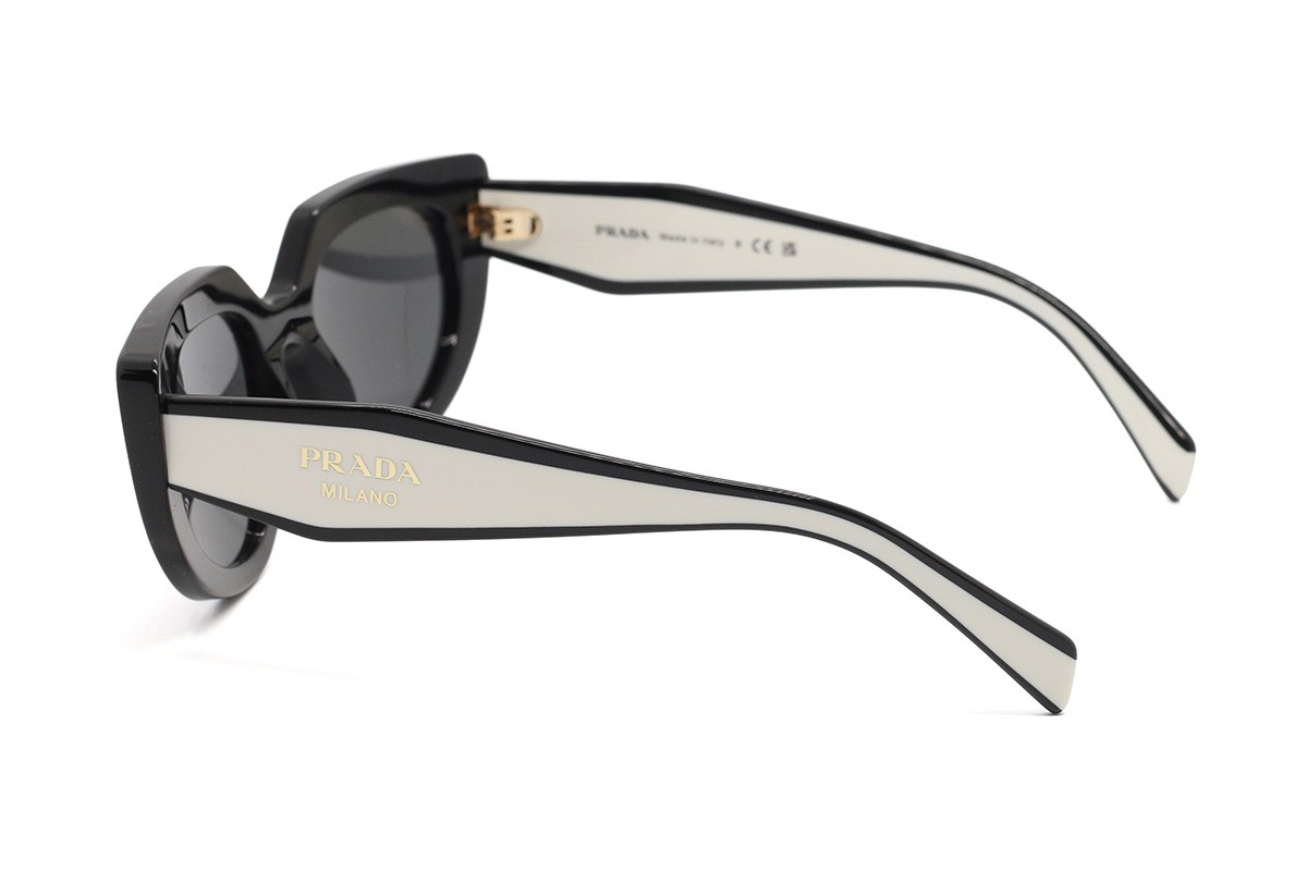 Сонцезахисні окуляри PR D02S 20G08Z 53 Фото №2 - linza.ua