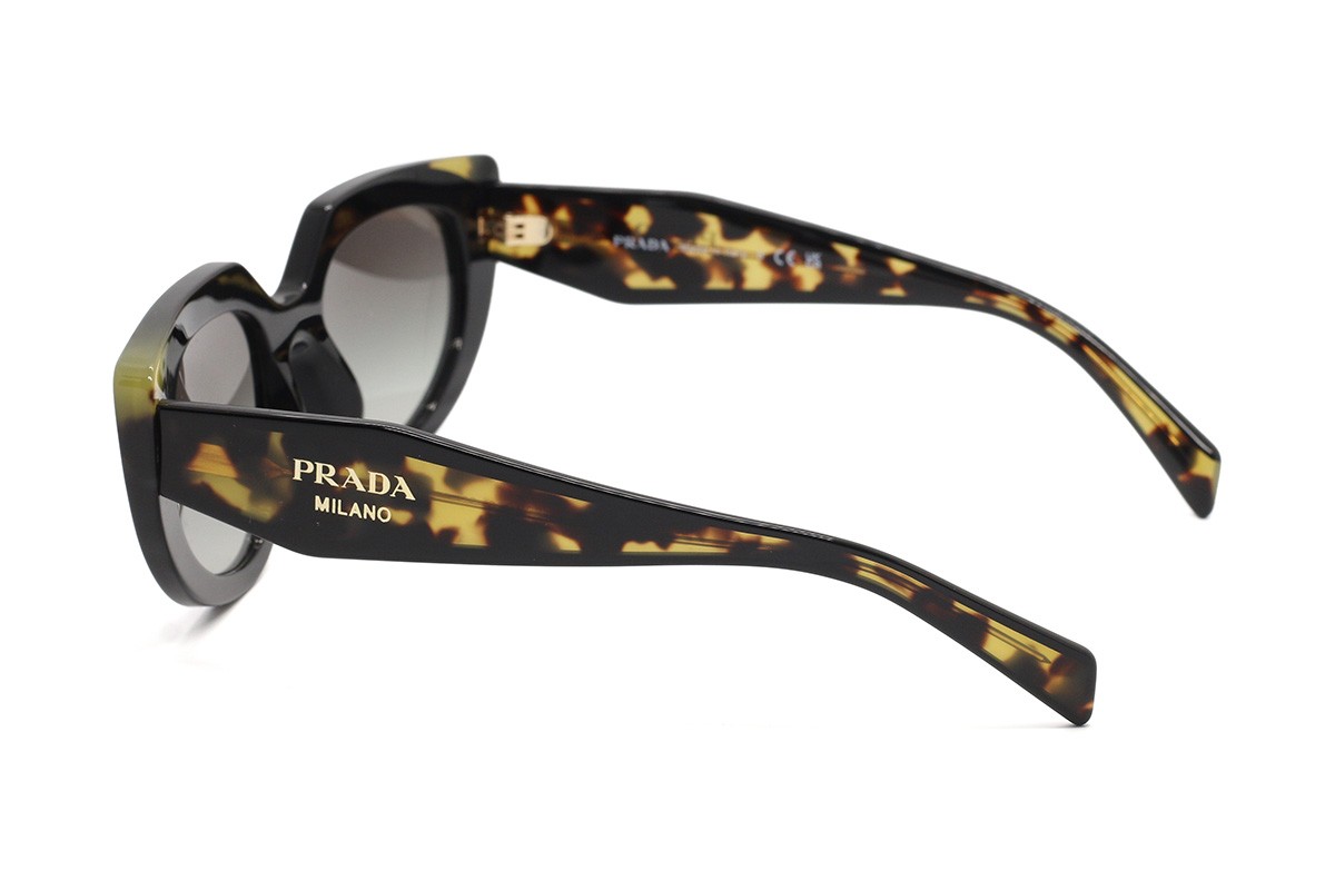 Сонцезахисні окуляри PR D02S 0CD80L 53 Фото №4 - linza.ua