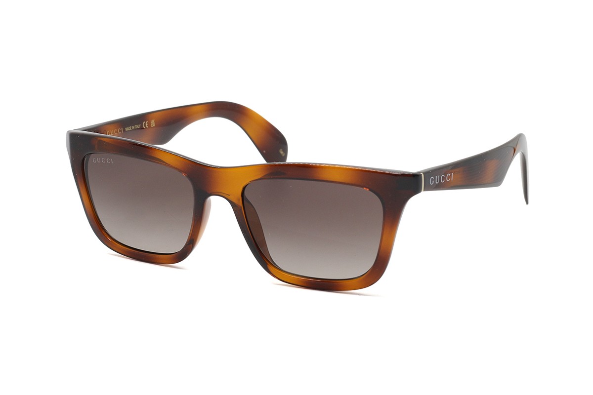 Солнцезащитные очки GUCCI GG1933S-002 53 Фото №1 - linza.ua