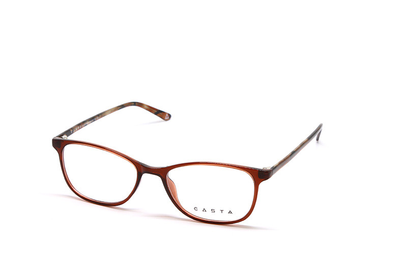 Оправи CASTA CST 240 BRN Фото №2 - linza.ua