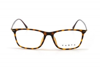 Оправи CASTA CST 2103 BRN Фото №2 - linza.ua