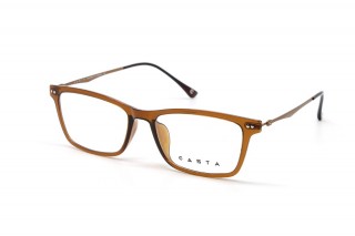 Оправы CASTA CST 2105 BRN Фото №1 - linza.ua