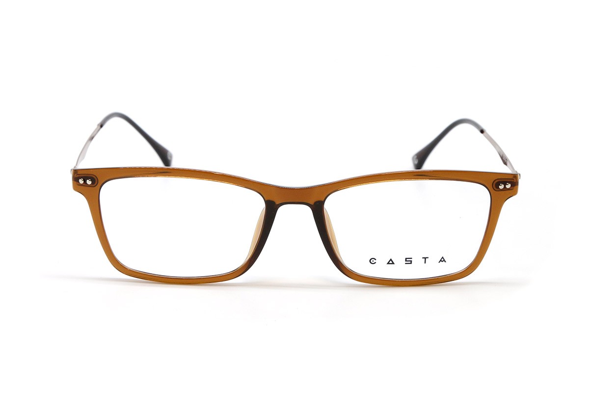 Оправы CASTA CST 2105 BRN Фото №2 - linza.ua