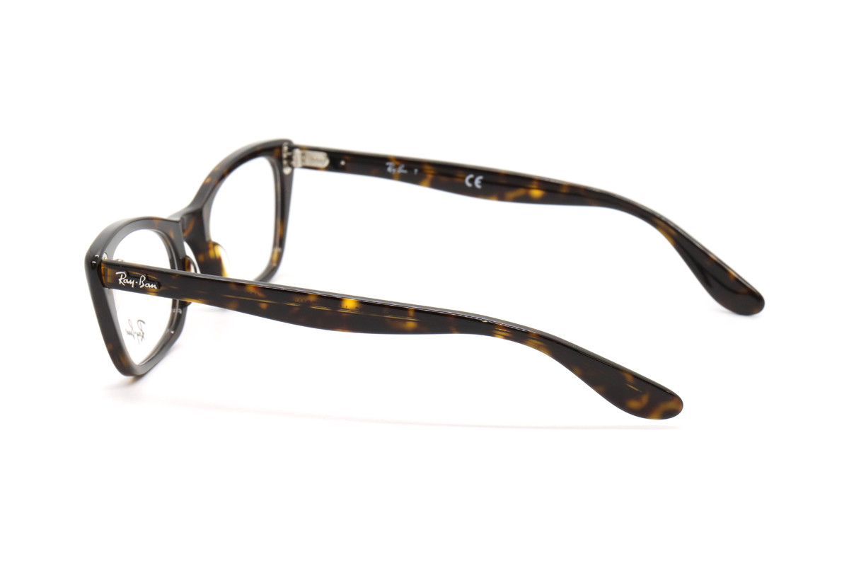 Оправы RX 5499 2012 49 Фото №2 - linza.ua