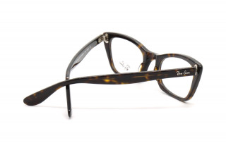 Оправы RX 5499 2012 49 Фото №4 - linza.ua