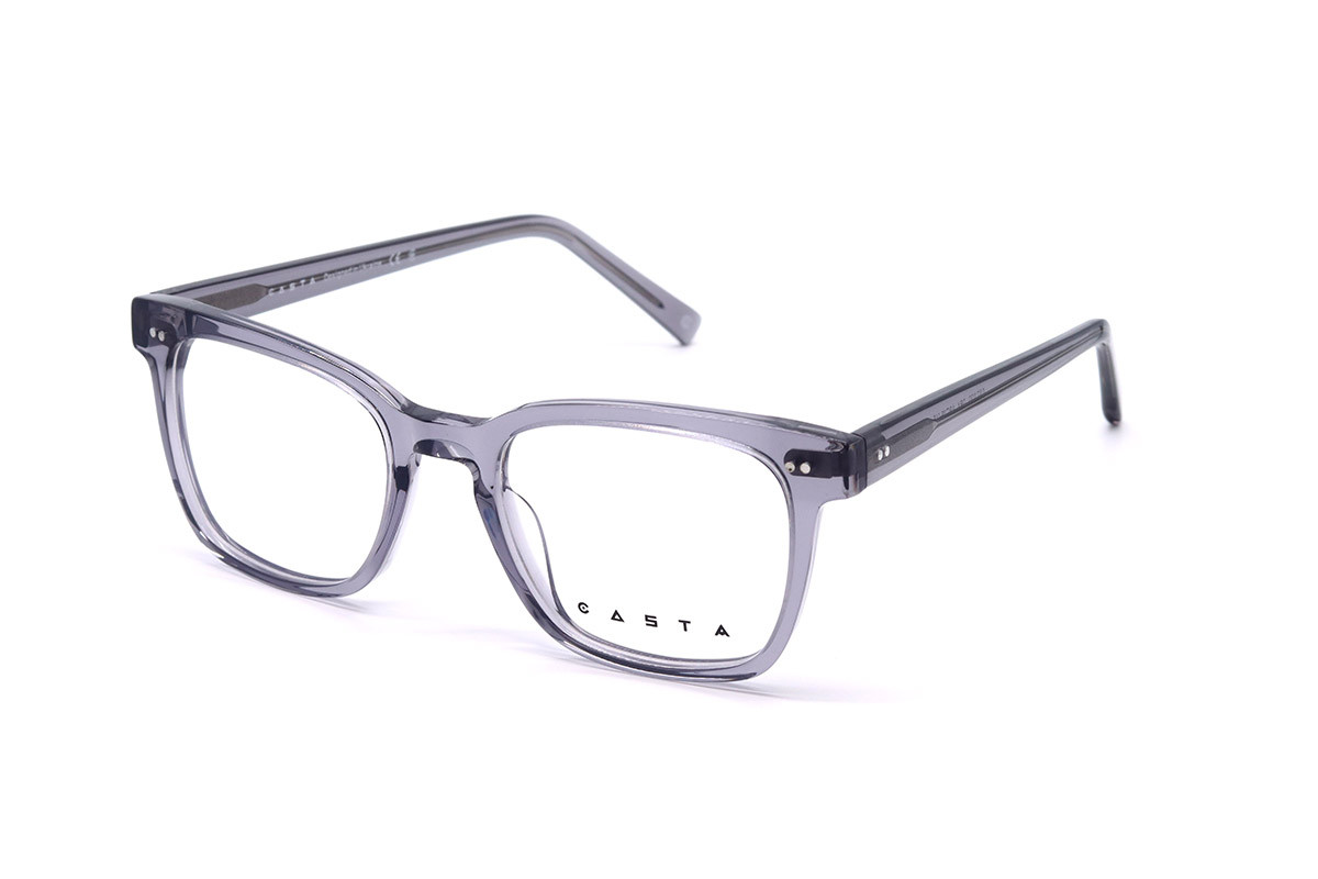 Оправи CASTA CST 1170 GRY Фото №1 - linza.ua