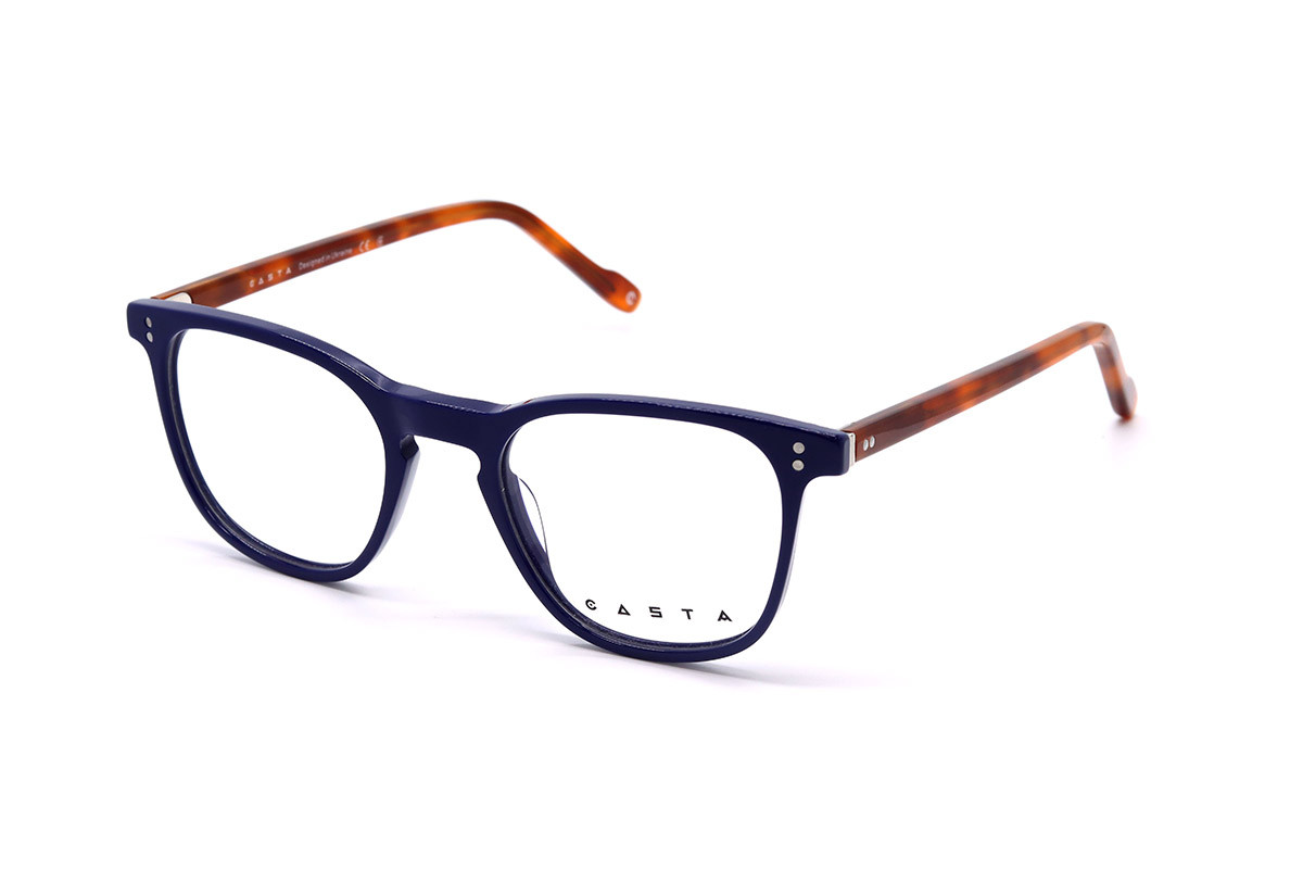 Оправи CASTA CST 3109 BLU Фото №1 - linza.ua