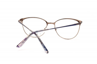 Оправы CASTA CST 1190 BLBRN Фото №4 - linza.ua