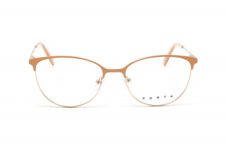 Оправы CASTA CST 1190 BRNGLD Фото №2 - linza.ua