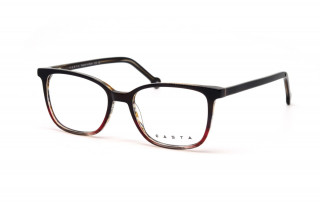 Оправы CASTA CST 2127 BRN Фото №1 - linza.ua