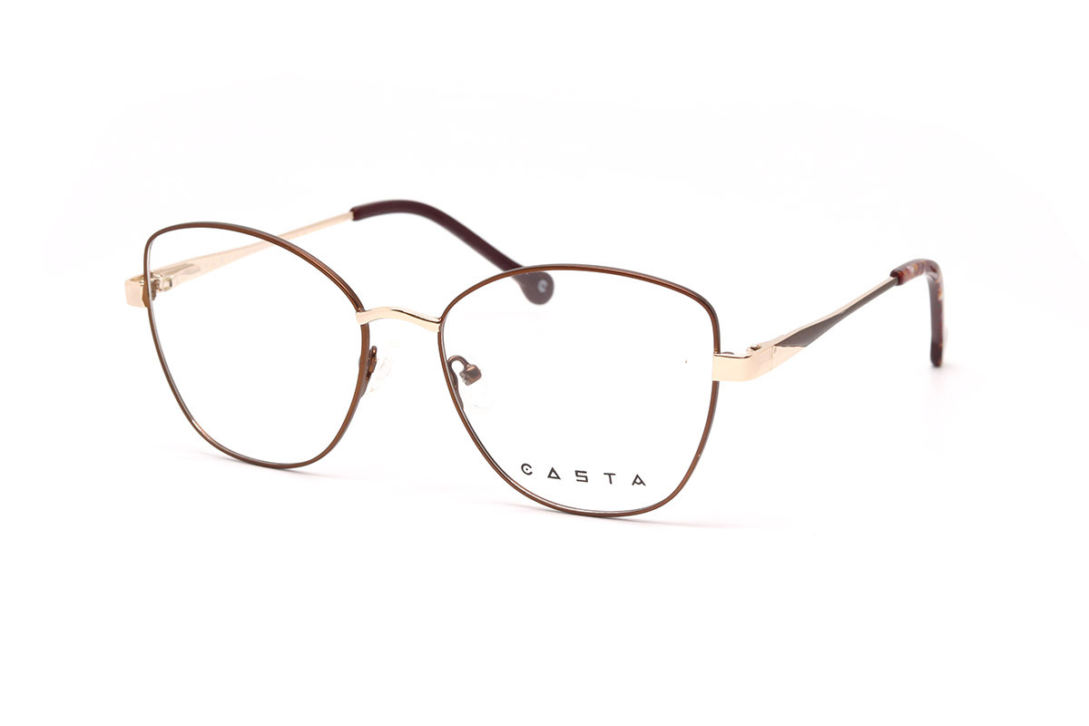 Оправы CASTA CST 1201 BRNGLD Фото №1 Оправы CASTA CST 1201 BRNGLD Фото №1 - linza.ua