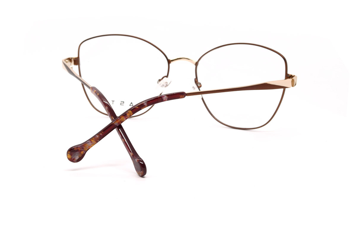 Оправы CASTA CST 1201 BRNGLD Фото №2 Оправы CASTA CST 1201 BRNGLD Фото №2 - linza.ua