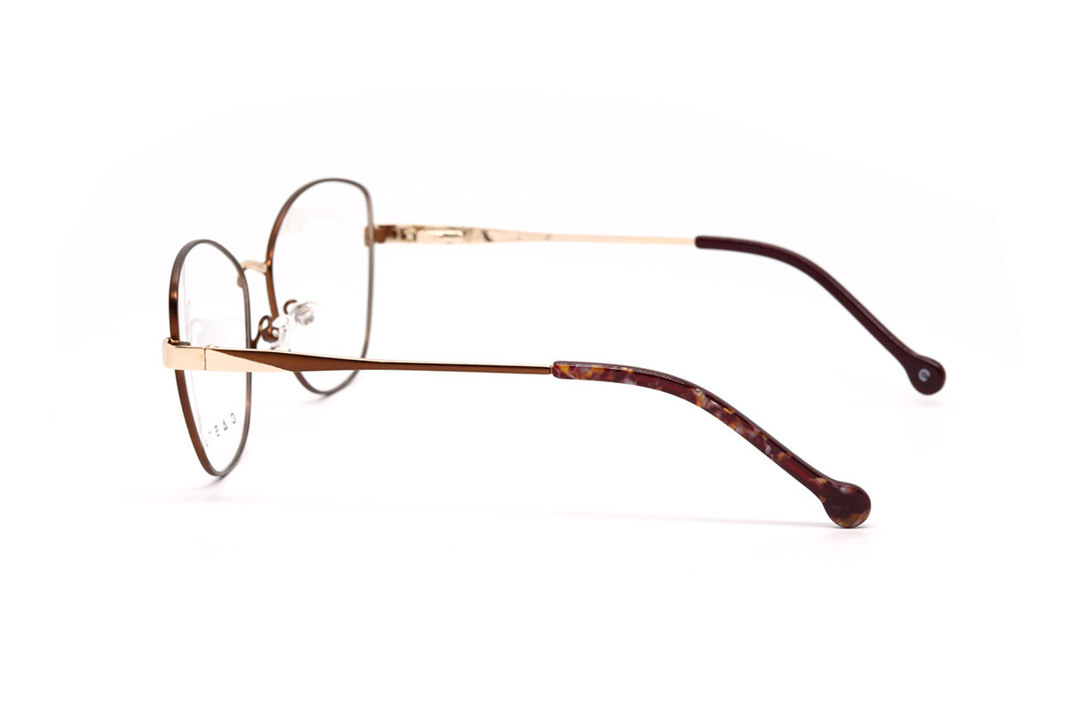 Оправы CASTA CST 1201 BRNGLD Фото №3 Оправы CASTA CST 1201 BRNGLD Фото №3 - linza.ua