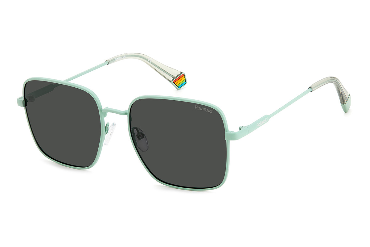 Сонцезахисні окуляри PLD PLD 6194/S/X N4756M9 Фото №1 - linza.ua