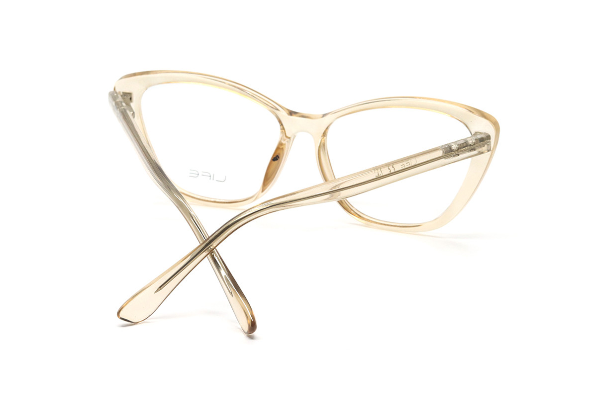 Оправы LIFE LFO 1028 BRN Фото №4 - linza.ua